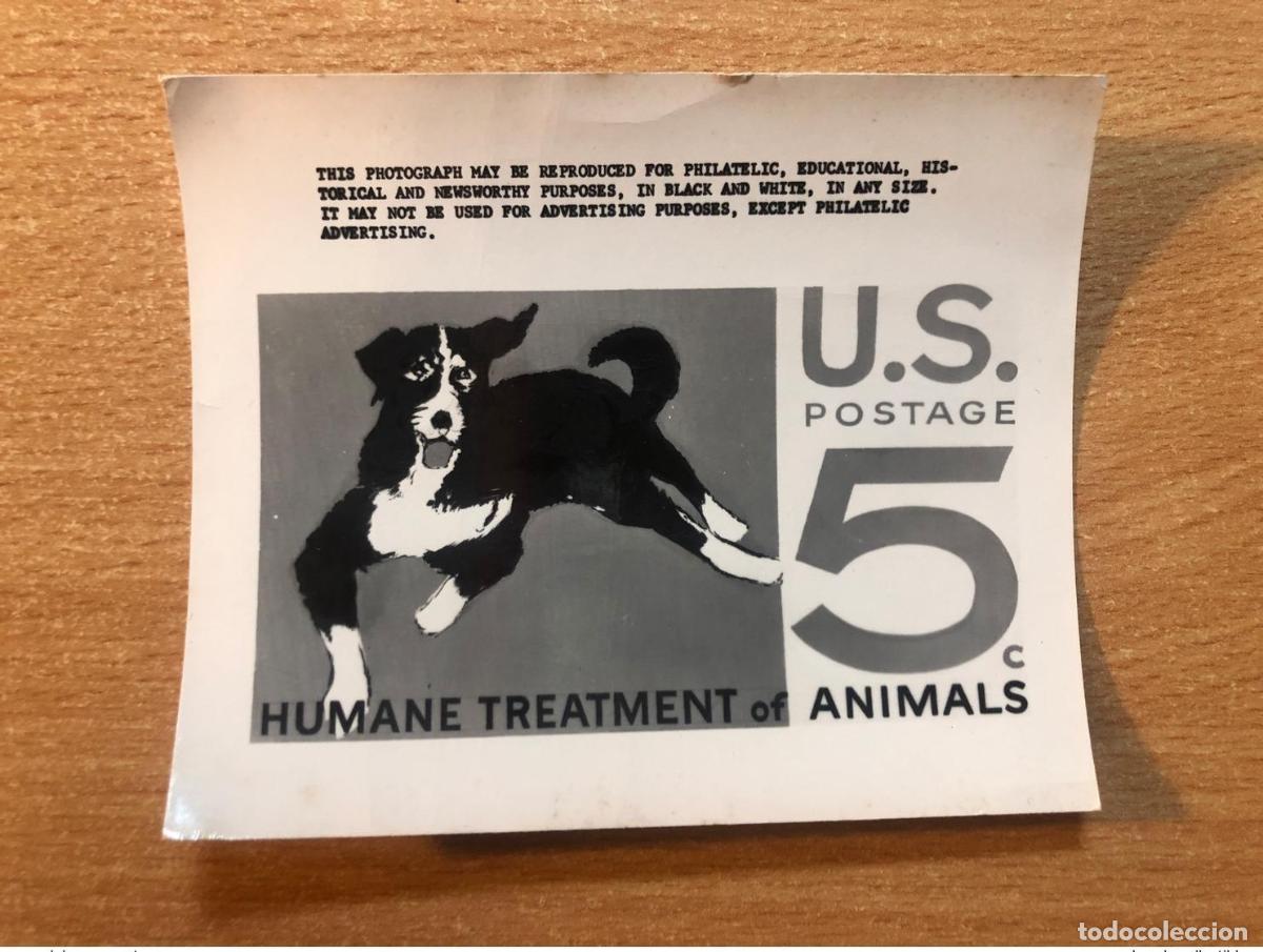 Sellos: Estados Unidos USPS -Ensayo publicitario de Kodak Humane Treatmant of Animals Dog