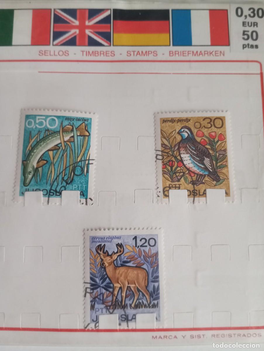 Sellos: YUGOSLAVIA, FAUNA. .