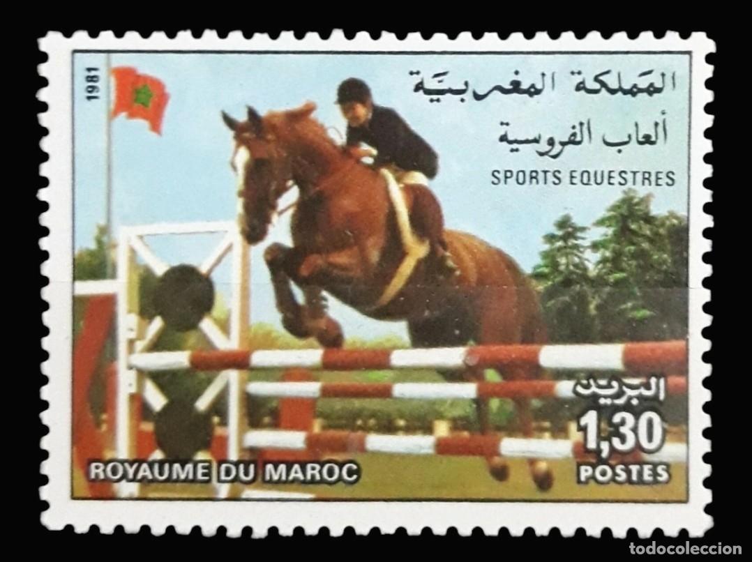 Sellos: MARRUECOS 1981 Caballos - Deporte - Juegos Ecuestres. NUEVO - MNH