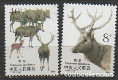 Sellos: REPUBLICA POPULAR CHINA IVERT N&ordm; 2917/8, CIERVO ELAFO, NUEVO ** SERIE COMPLETA