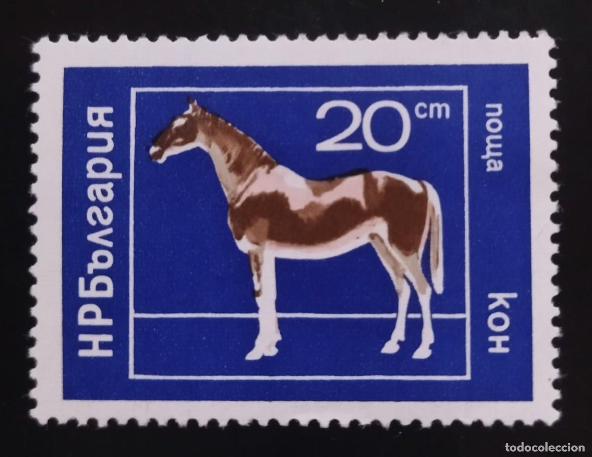 Sellos: BULGARIA 1974 Caballos - Animales dom&eacute;sticos. NUEVO - MNH
