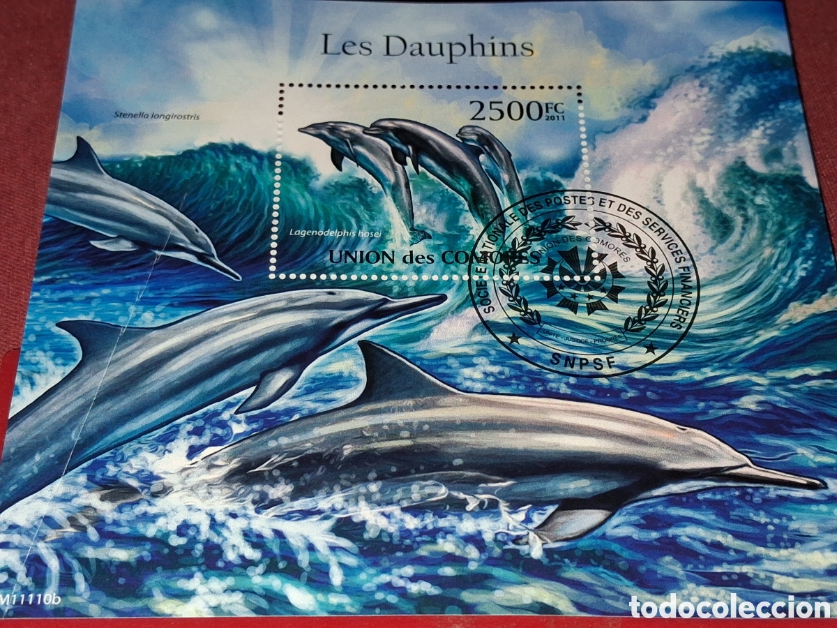 Sellos: HB Comoras (Comores) mtdos. 2011. Delfines. Animales salvajes, vida, fauna marina. Mamifero. Pescado
