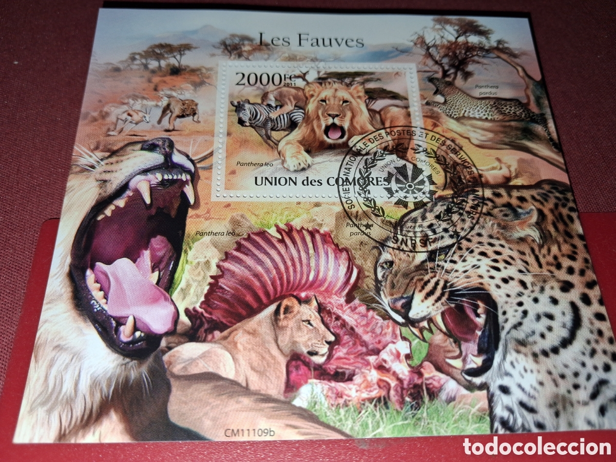 Sellos: HB Comoras mtdos 2011. Le&oacute;n y leopardo. Fauna, vida salvaje. Felinos. Depredador. Sabana. Tigre