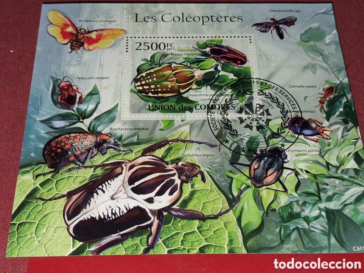 Sellos: HB Comoras mtdos 2011. Coleopferos. Animales. Fauna. Escarabajo. Mariquita. Luci&eacute;rnagas.