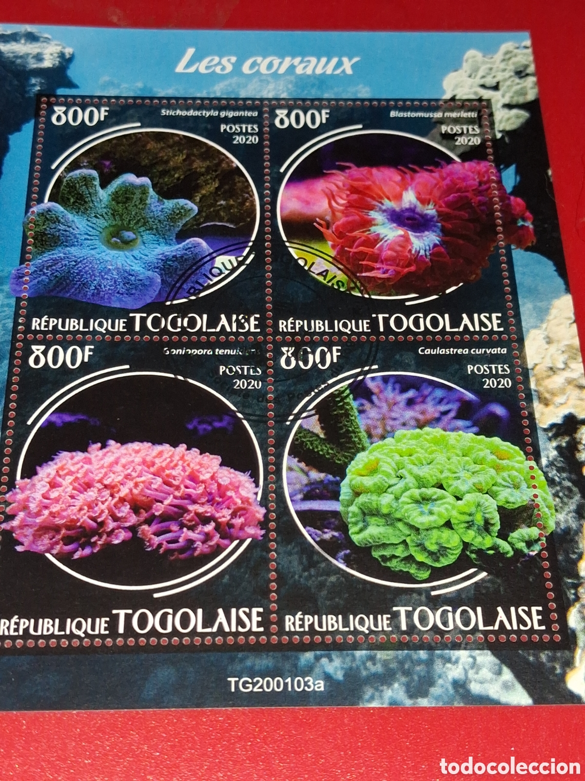 Sellos: HB Togo mtdo 2020. Corales. Arrecife. Fauna, vida marina. Pescado. Peces. Naturaleza.