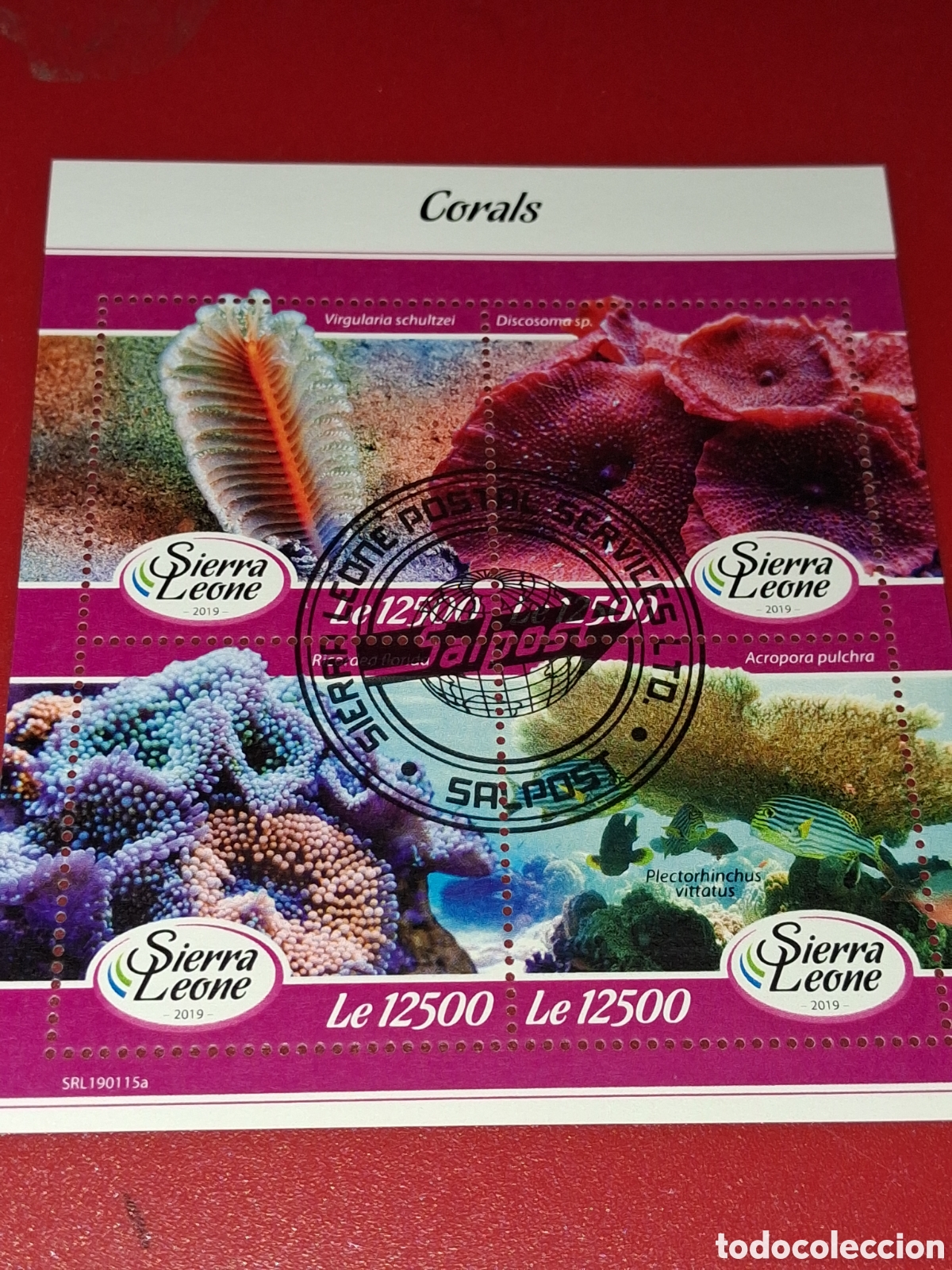 Sellos: HB Sierra Leona mtdo 2019. Corales. Arrecife. Fauna, vida marina. Pescado. Peces. Naturaleza.