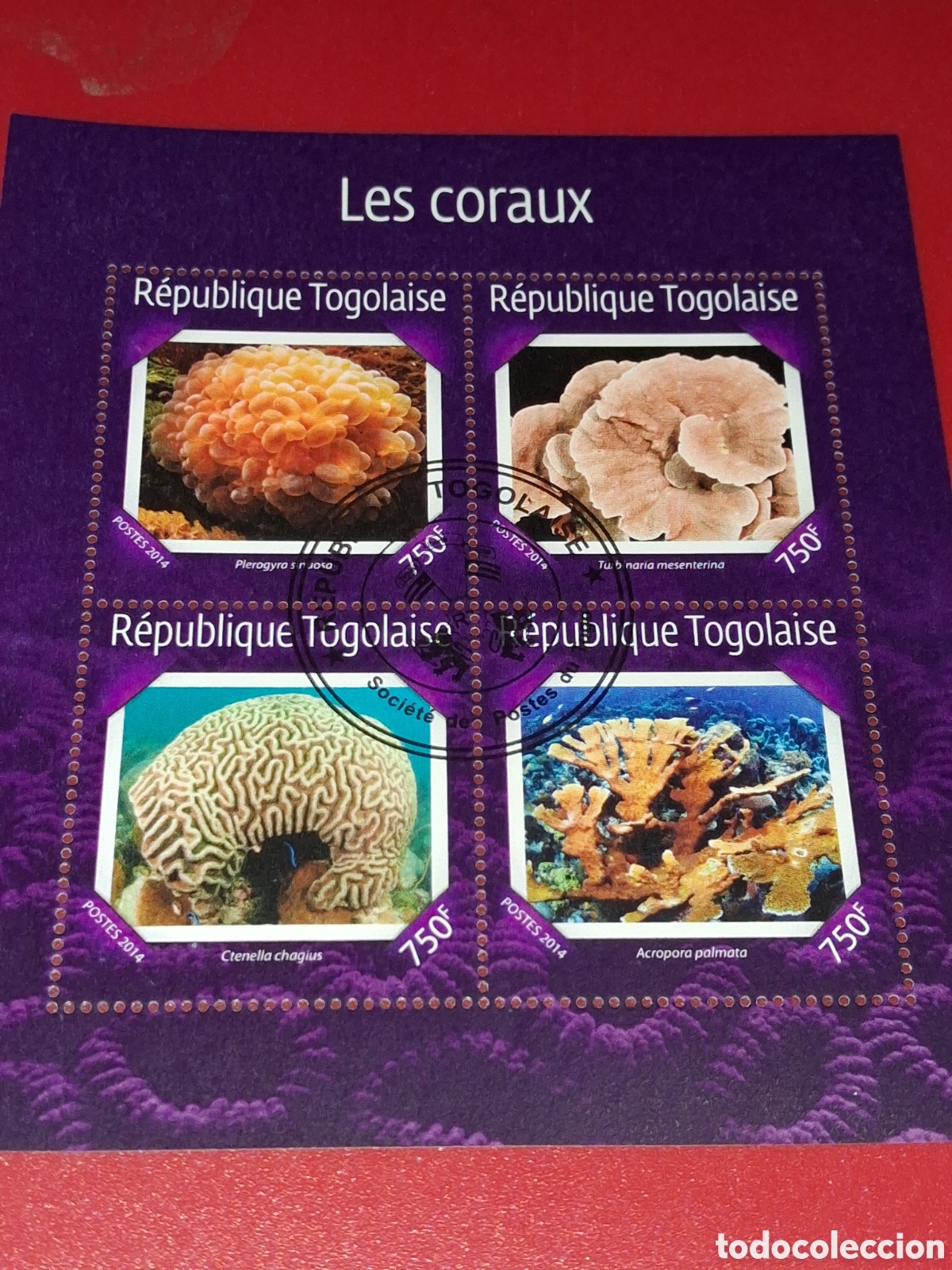 Sellos: HB Togo mtdo 2014. Corales. Arrecife. Fauna, vida marina. Pescado. Peces. Naturaleza.