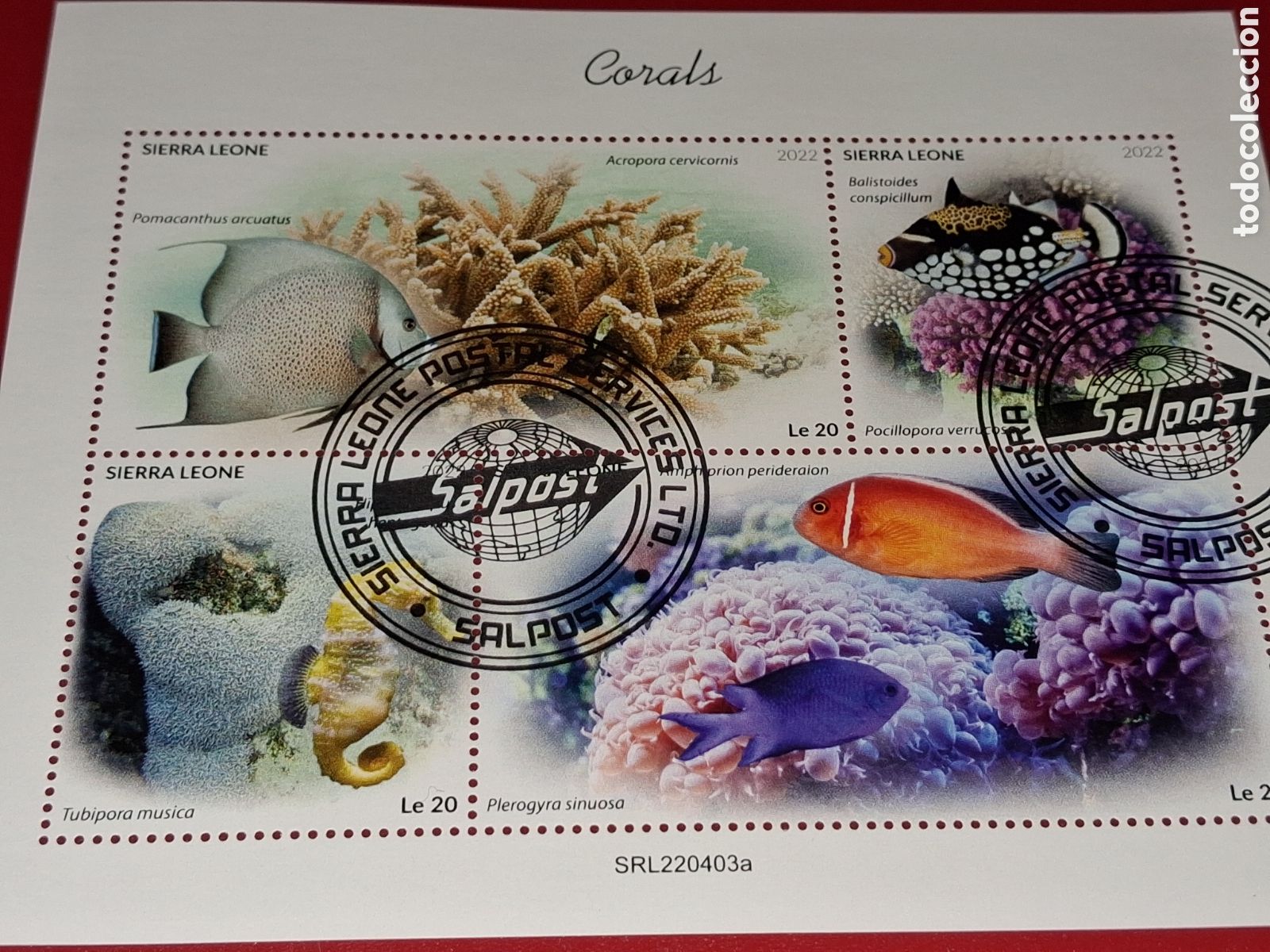 Sellos: HB Sierra Leona mtdo 2022. Corales. Arrecife. Fauna, vida marina. Pescado. Peces. Naturaleza.