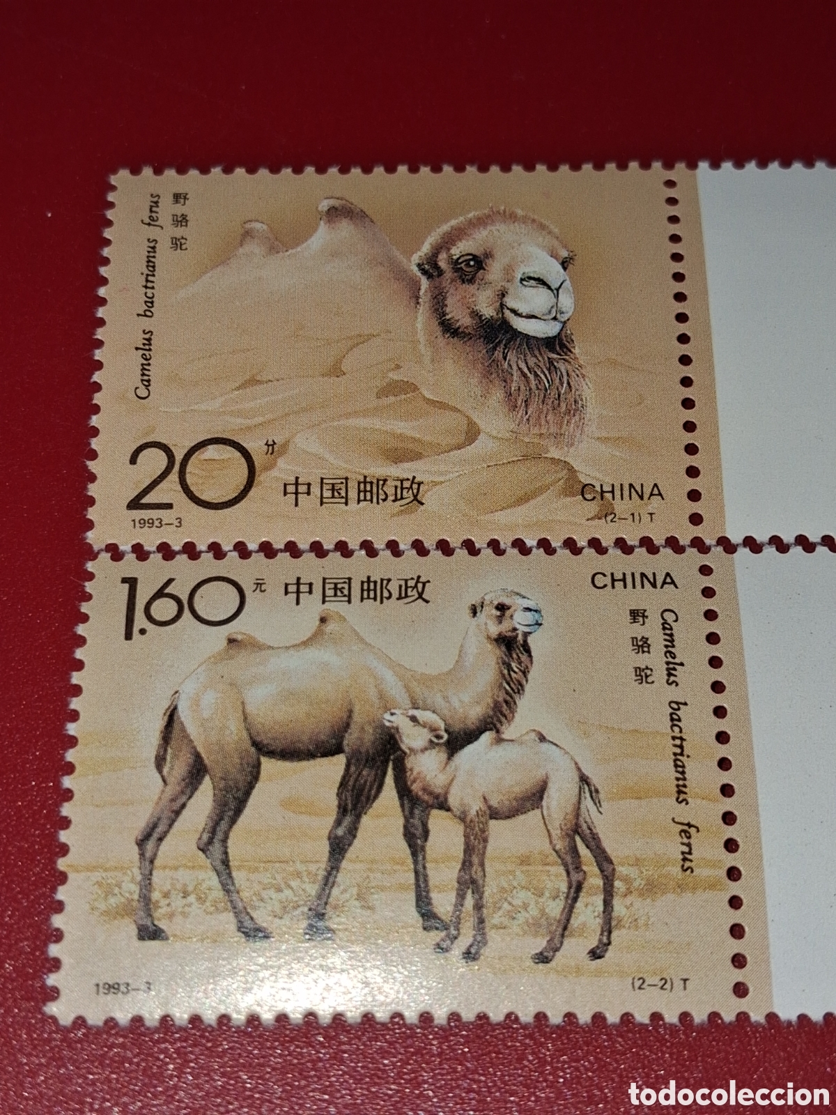 Sellos: Sello China nuevo 1993. Fauna. Dromedario. Camello. Animales dom&eacute;sticos. Mam&iacute;fero. Equino.