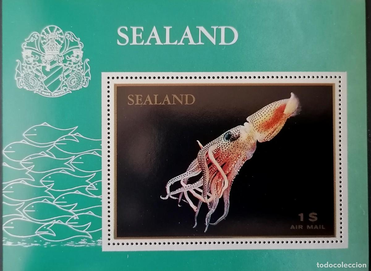 Sellos: SEALAND 1970 - HB CALAMAR .