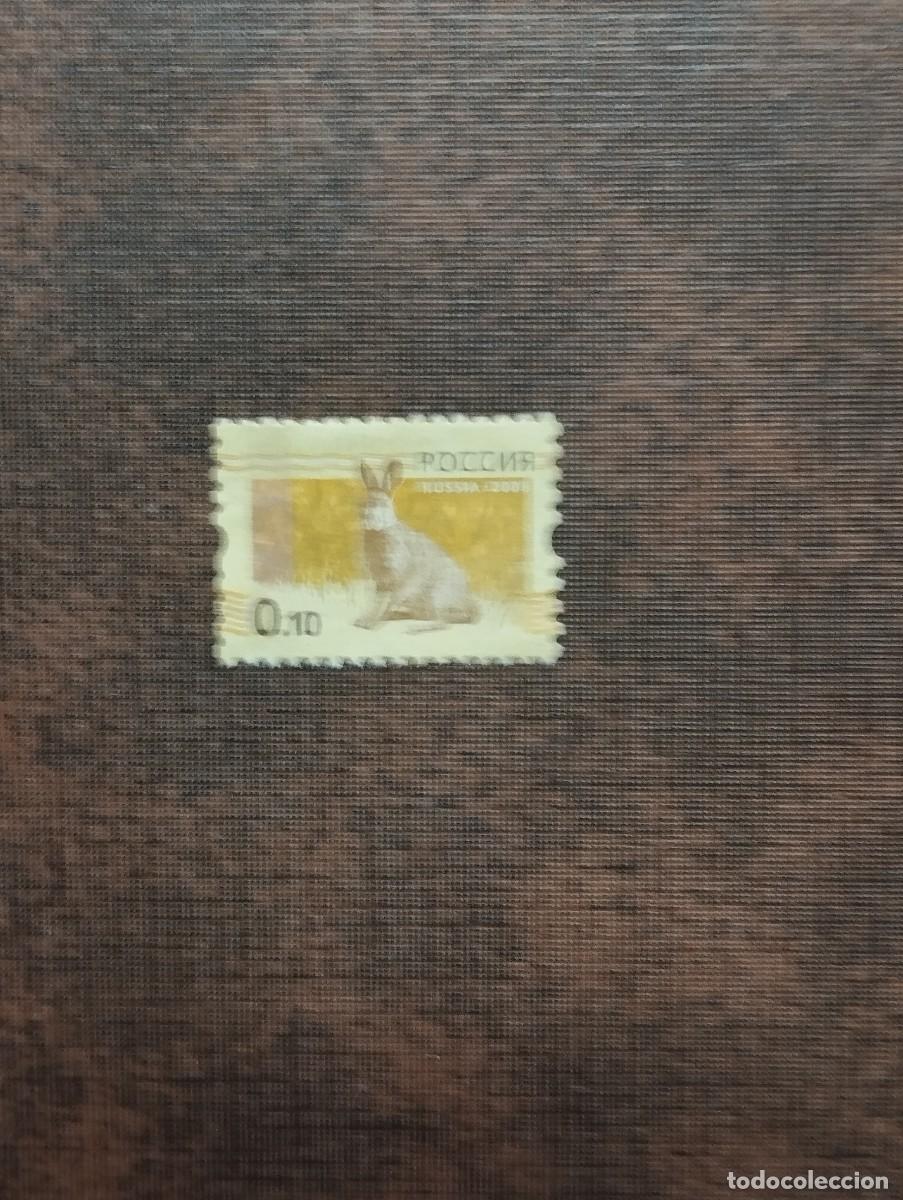 Sellos: 28.08/ Rusia. 2008. Fauna. 10k en nuevo