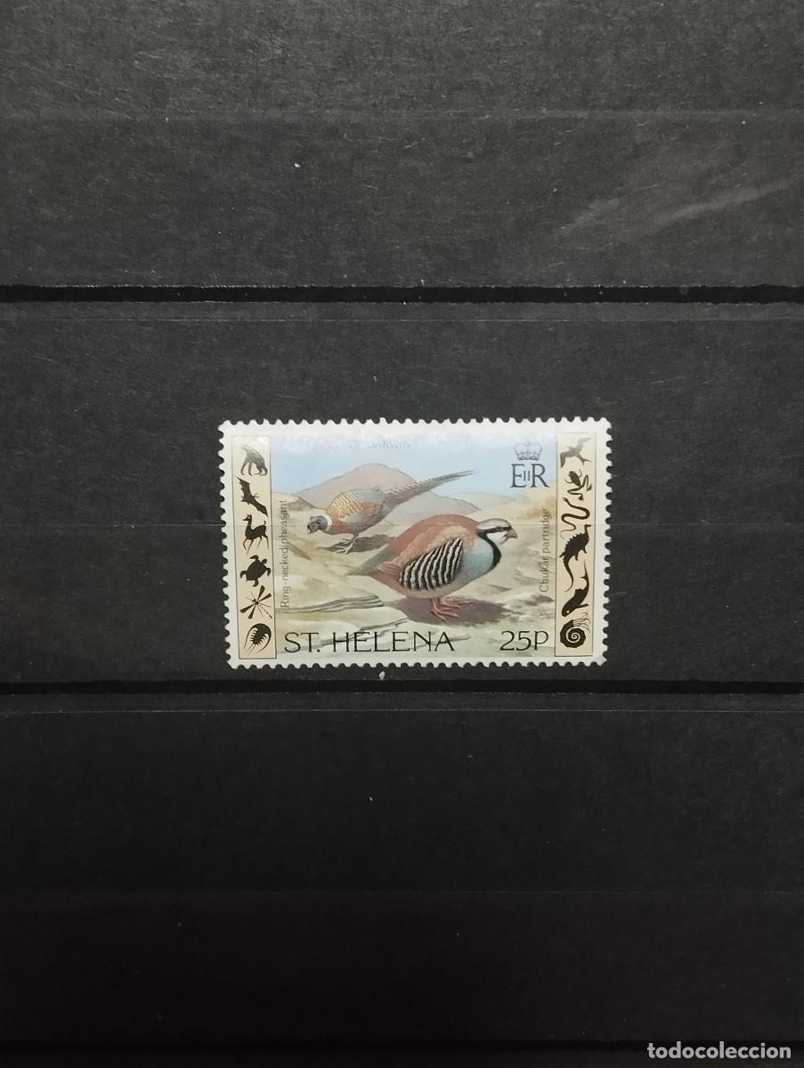 Sellos: 28.08/ St.Helena.Fauna. 25p en nuevo