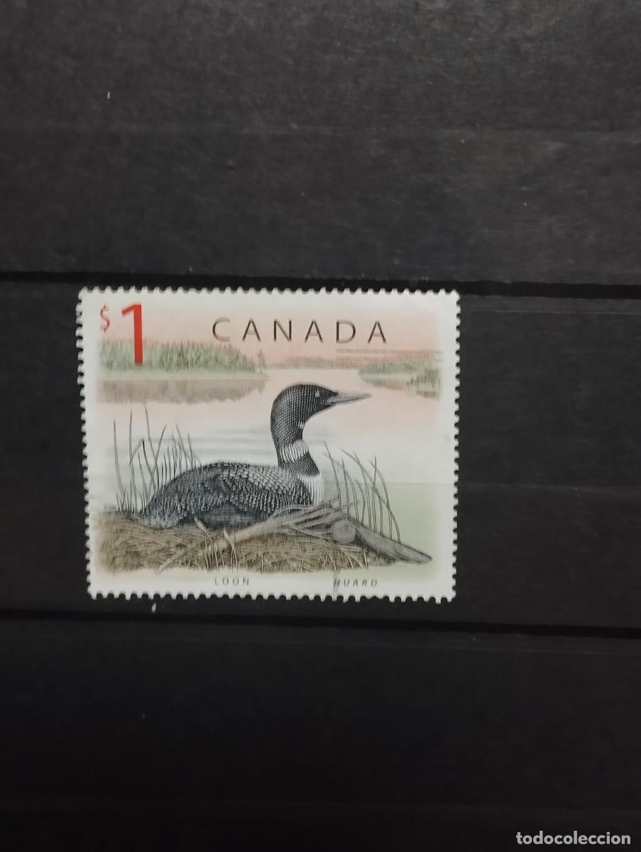 Sellos: 28.08/ Canad&aacute;. 1998. Fauna. Serie completa en usado