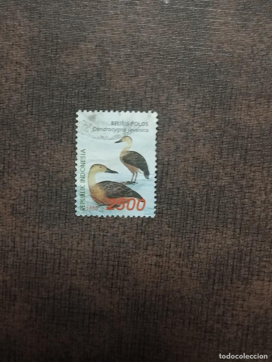 Sellos: 28.08/ Indonesia. 1998. Fauna. 2500r en usado