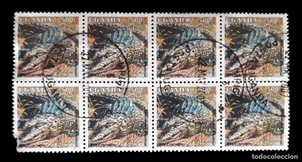 Sellos: UGANDA 1995 Reptiles - Cocodrilos. BLOQUE DE 8 SELLOS USADOS.-