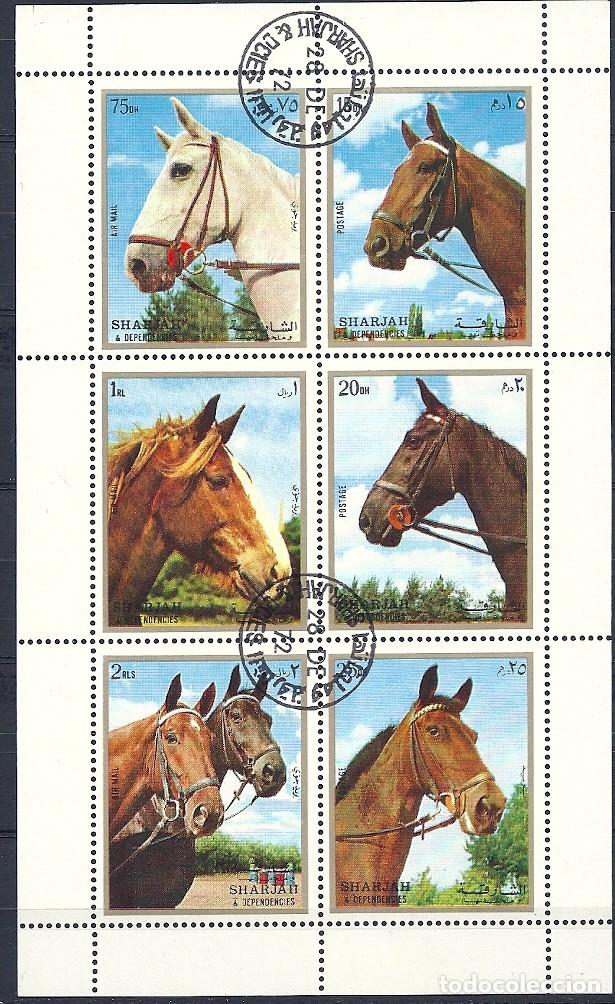 Sellos: SHARJAH - MINIPLIEGE/BLOQUE DE 6 CABALLOS DIFERENTES - CORREO A&Eacute;REO - BLOQUE ESTAMPADO