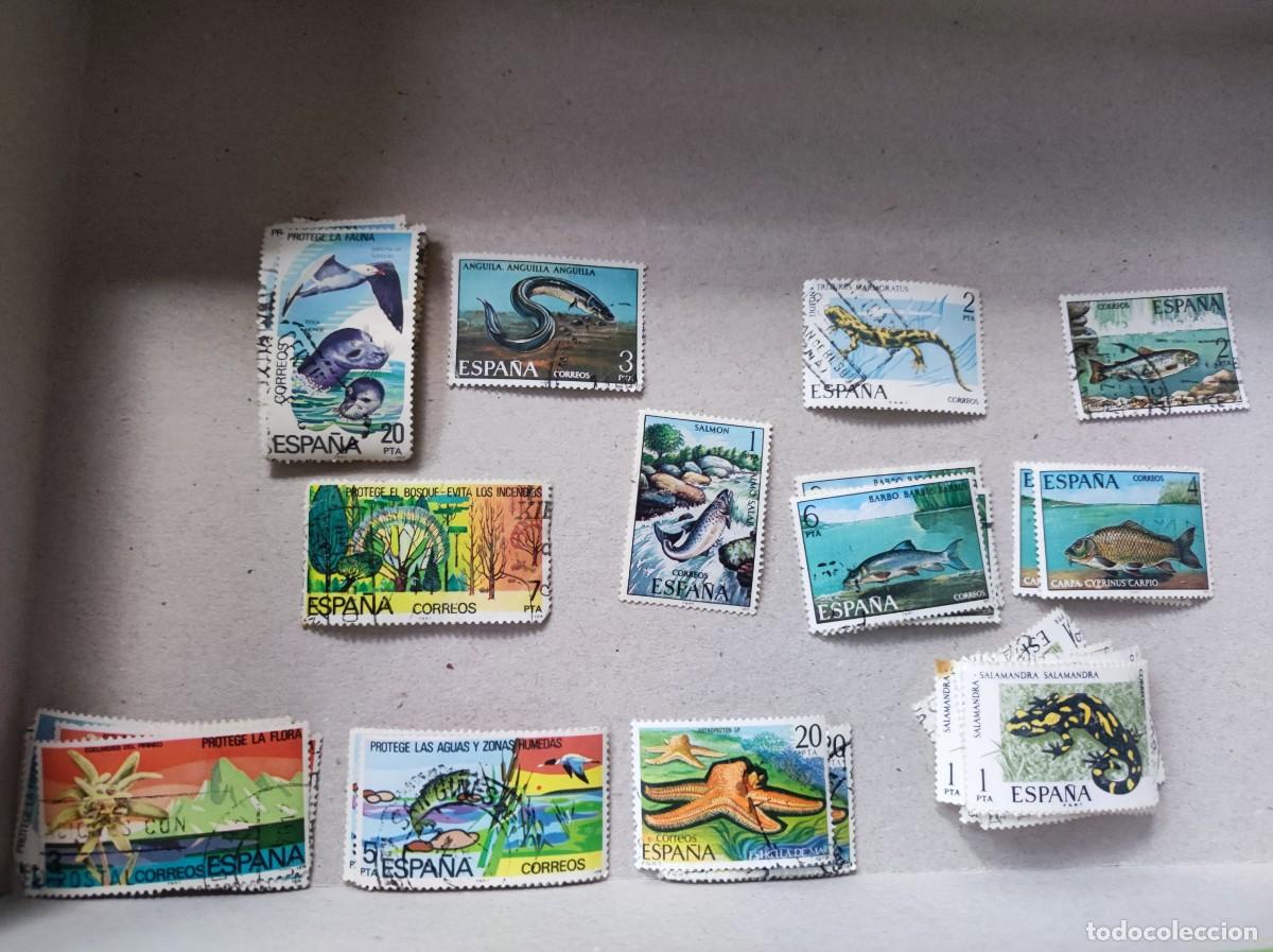 Sellos: Sellos usados. Protege la fauna y flora. 1979. 42 unidades