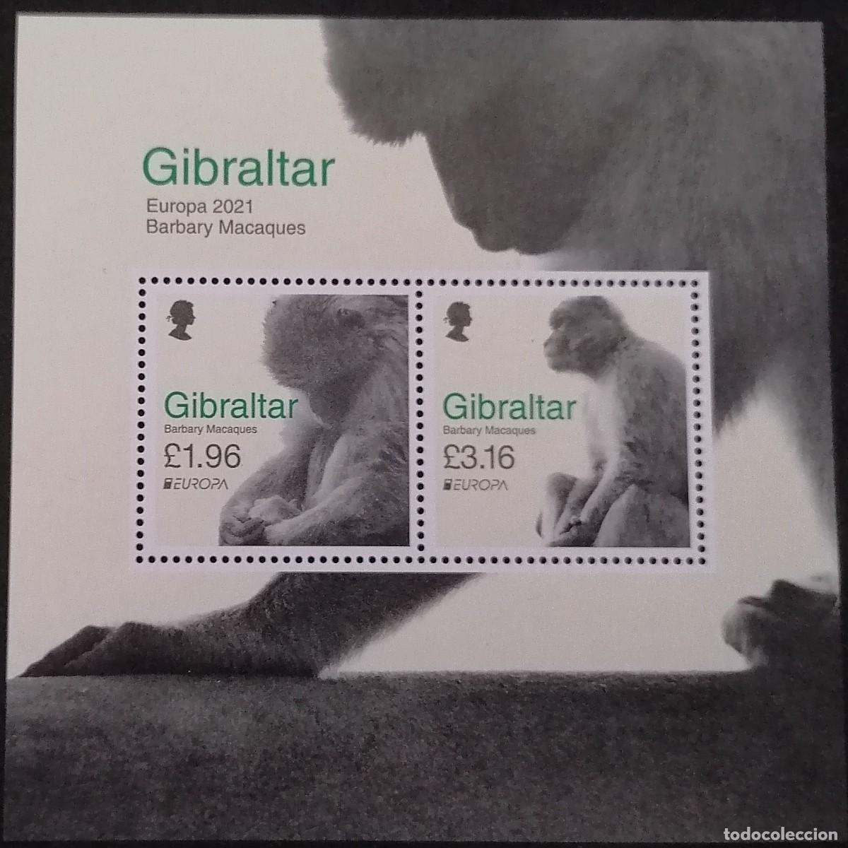 Sellos: GIBRALTAR 2021 - HB MACACOS DE BERBER&Iacute;A .