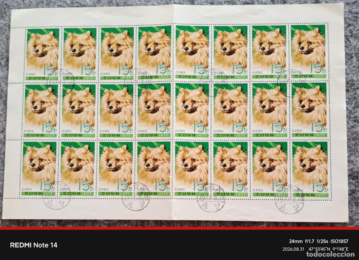 Sellos: COREA - KOREA - HOJA PERROS DE 1977 - 24 SELLOS IGUALES - ESTAMPADAS