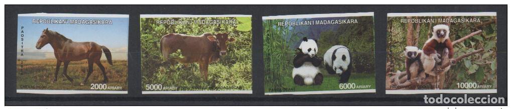 Sellos: Madagascar 2014 Mi. 2678x/2681x China IMPERF ND set of 4 Fauna Panda