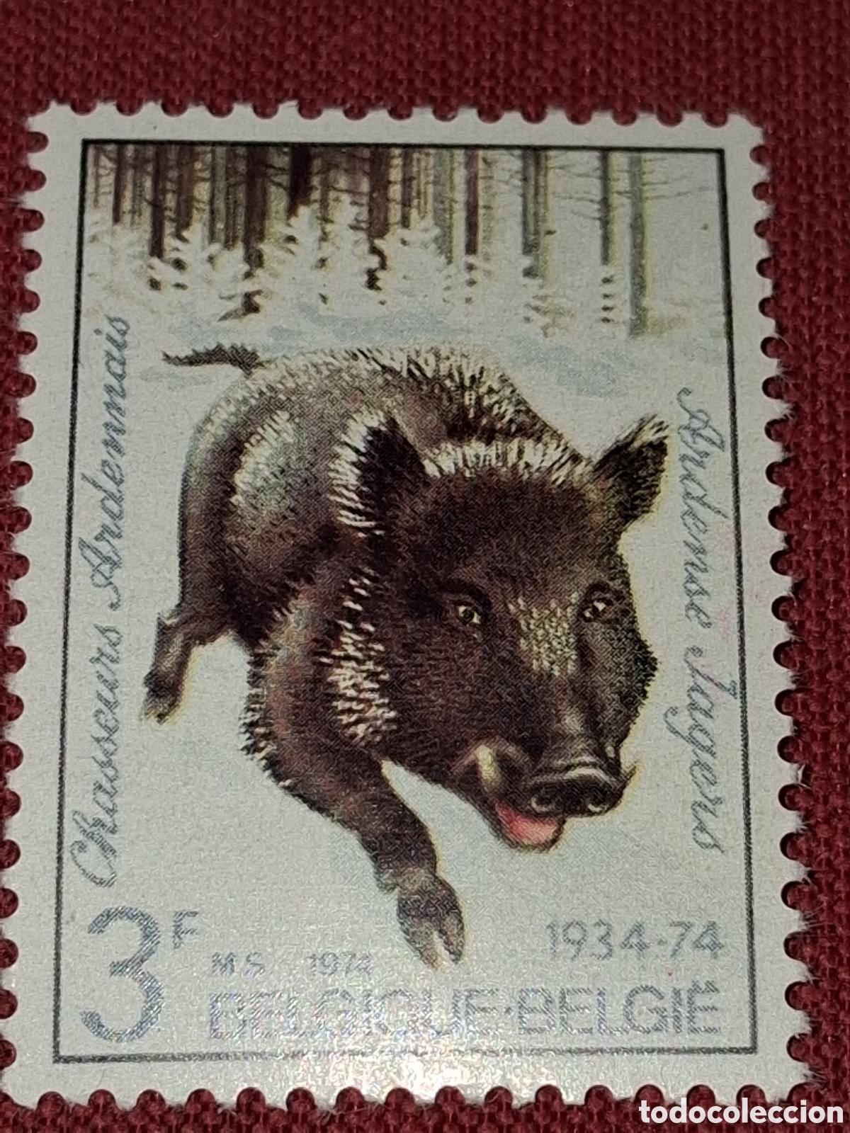 Sellos: Sello B&eacute;lgica nuevo 1974. 40Aniv regimiento cazadores Ardenas. Fauna. Jabal&iacute;. Naturaleza. Animales
