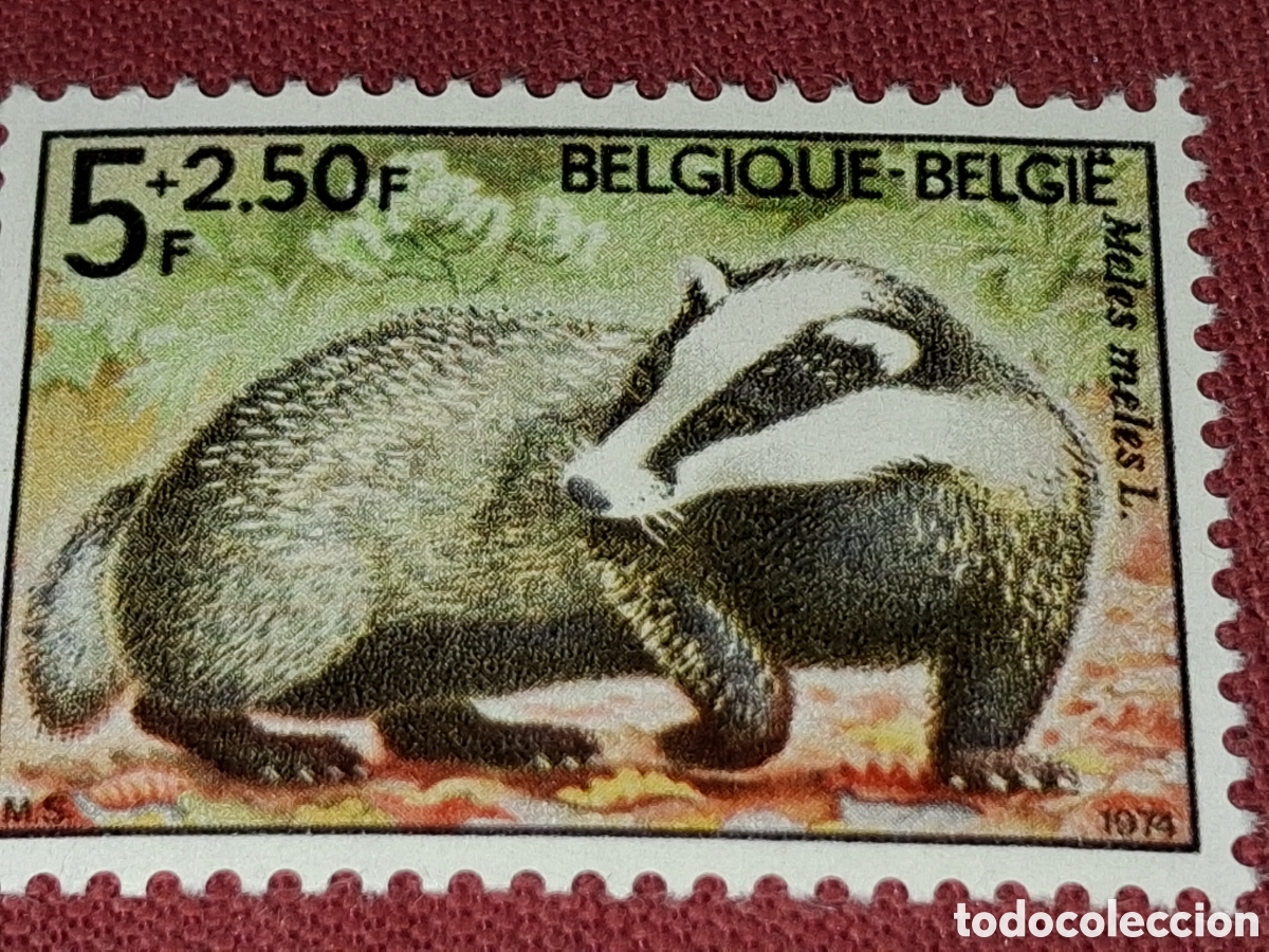 Sellos: Sello (1/4v) B&eacute;lgica nuevo 1974. Solidaridad. Naturaleza. Fauna. Tejon. Fauna. Mam&iacute;feros.