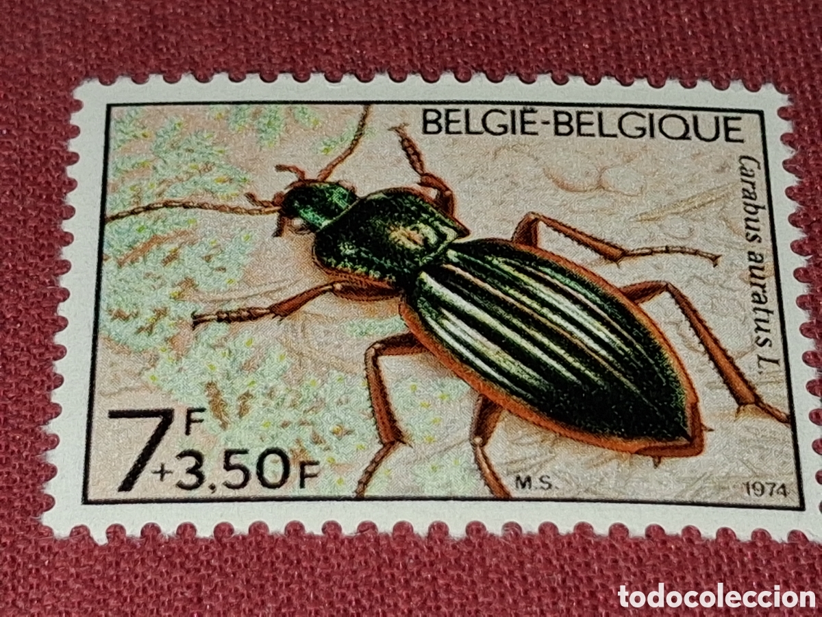 Sellos: Sello (1/4v) B&eacute;lgica nuevo 1974. Solidaridad. Naturaleza. Fauna. Cucaracha. Escarabajo dorado.