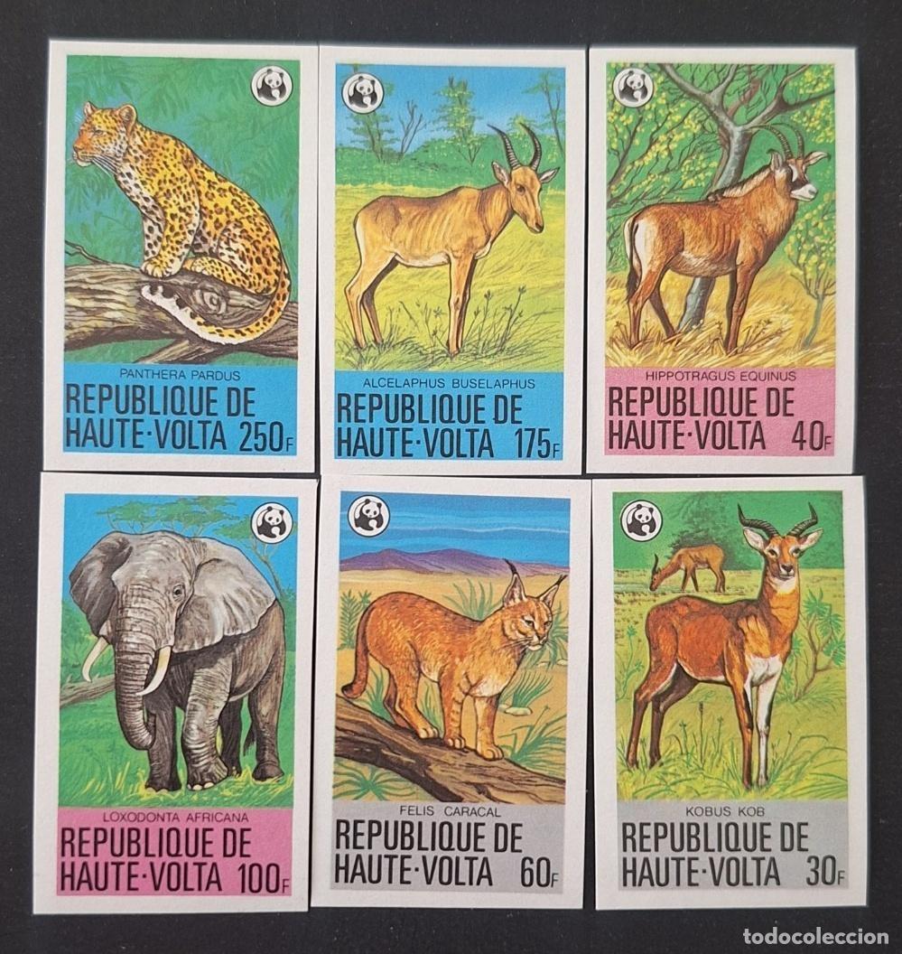 Timbres: Alto Volta 1979 Mi. 760-765 ND WWF fauna elefante leopardo caracal