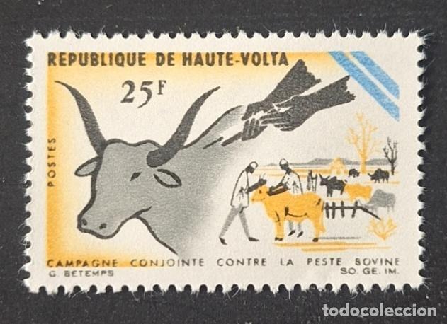 Timbres: Alto Volta 1966 Mi. 197 campa&ntilde;a peste bovina vacunaci&oacute;n ceb&uacute; ganado