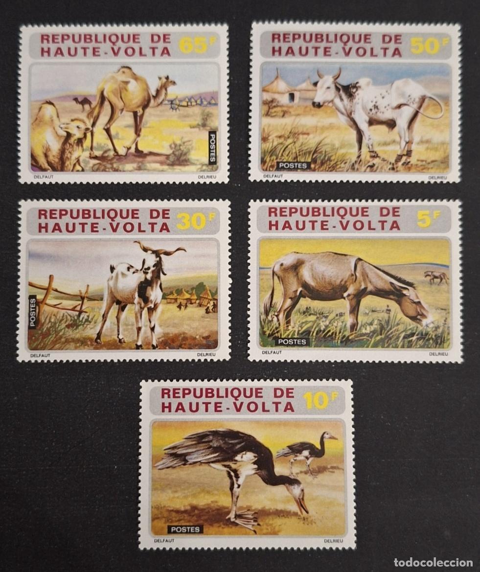 Timbres: Alto Volta 1972 Mi. 405-409 fauna camello buey cabra burro avutarda