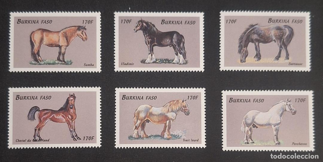 Francobolli: Burkina Faso 1999 Mi. 1680-1685 caballos Percheron Dartmoor Sumba
