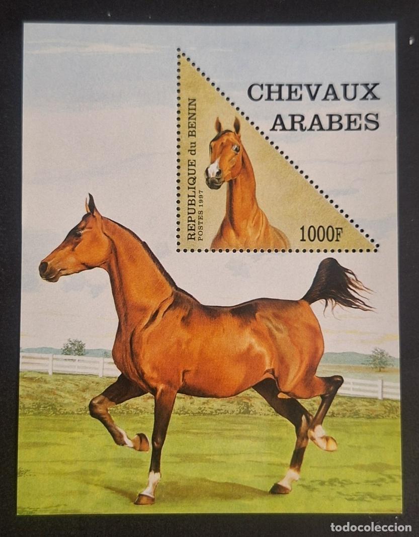 Sellos: Ben&iacute;n 1997 Mi. Bl. 27 caballos &aacute;rabes fauna animales triangular