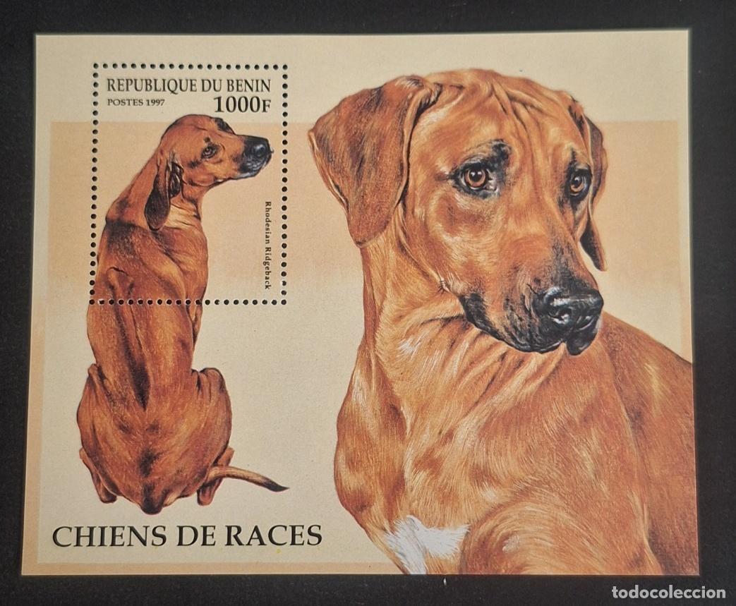 Sellos: Ben&iacute;n 1997 Mi. Bl. 28 perros de raza Rhodesian Ridgeback animales