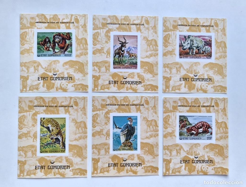 Sellos: Comores 1977 Mi. Bl. 70-75 ND IMPERF animales amenazados fauna silvestre