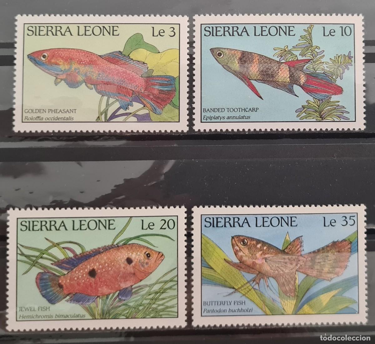 Sellos: Serie completa de sellos nuevos de Sierra Leona 1988: Peces