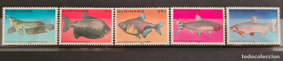 Sellos: Serie completa de sellos nuevos de Surinam 1980: Peces tropicales