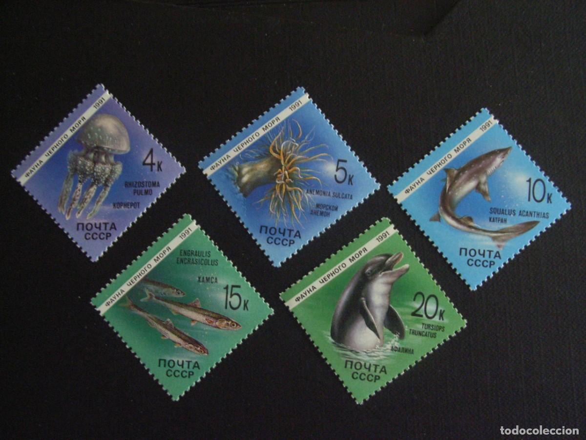 Sellos: RUSIA N&ordm; YVERT 5818/2*** A&Ntilde;O 1991. FAUNA DEL MAR NEGRO