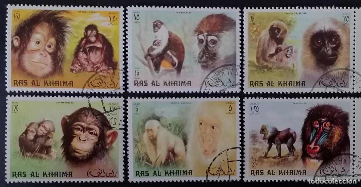 Sellos: RAS AL KHAIMA 1972 - PRIMATES .