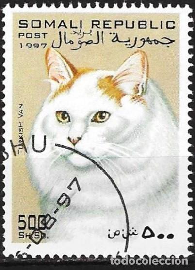 Sellos: Somalia 1997 - Gato Turco de Van