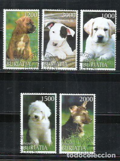 Sellos: 720-SERIE COMPLETA REPUBLICA BURIATIA PERROS CANES MASCOTAS, BELLISIMOS. ESTADO:NUEVOS ENVIOS COM