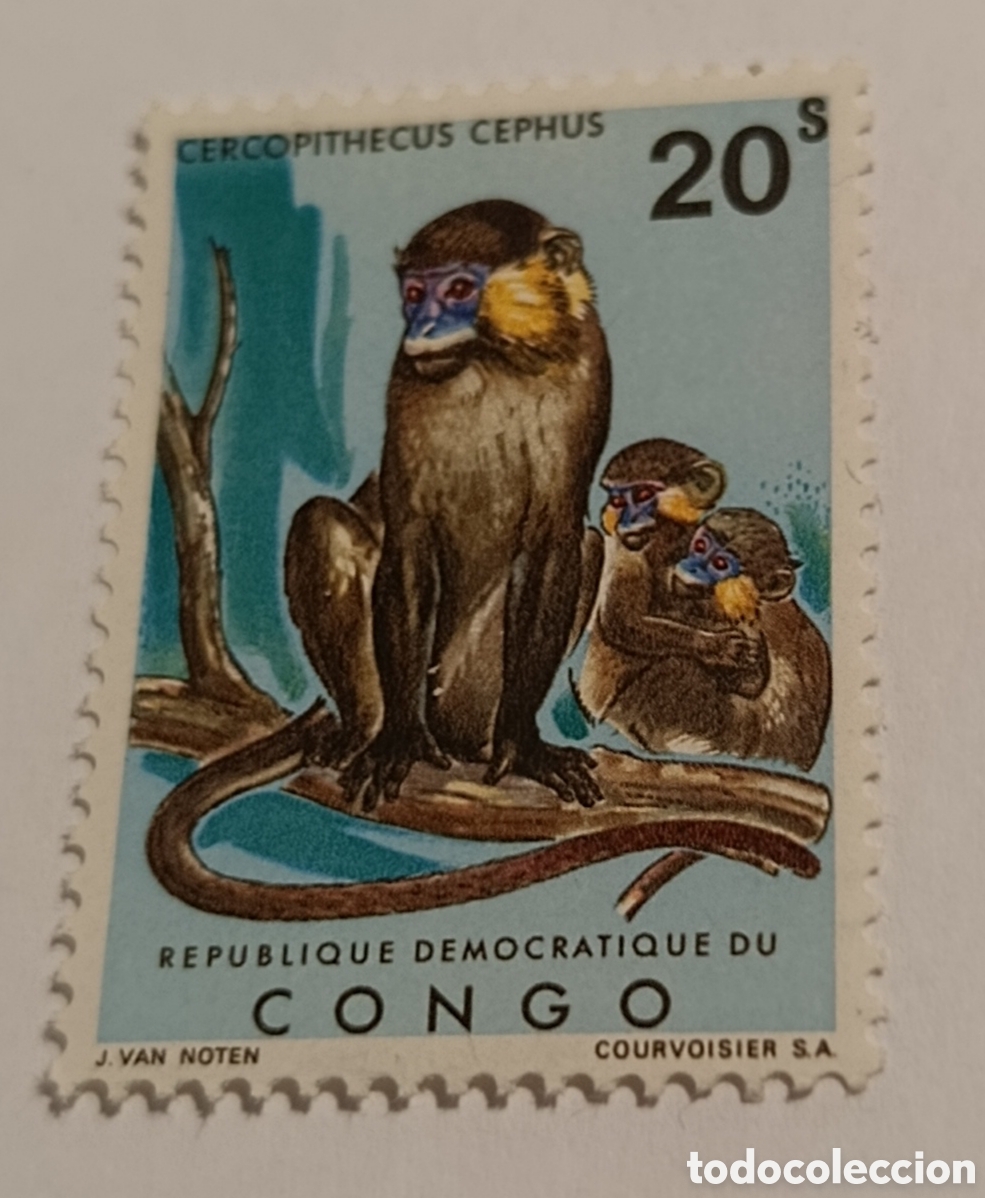 Sellos: CONGO sello animales mono cercopirhecus cephus