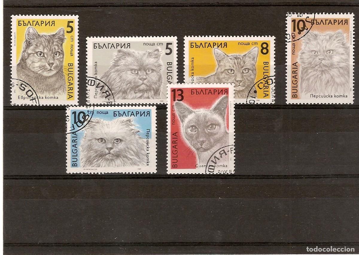Sellos: CHATS DU MONDE - BULGARIE - SERIE COMPLETE