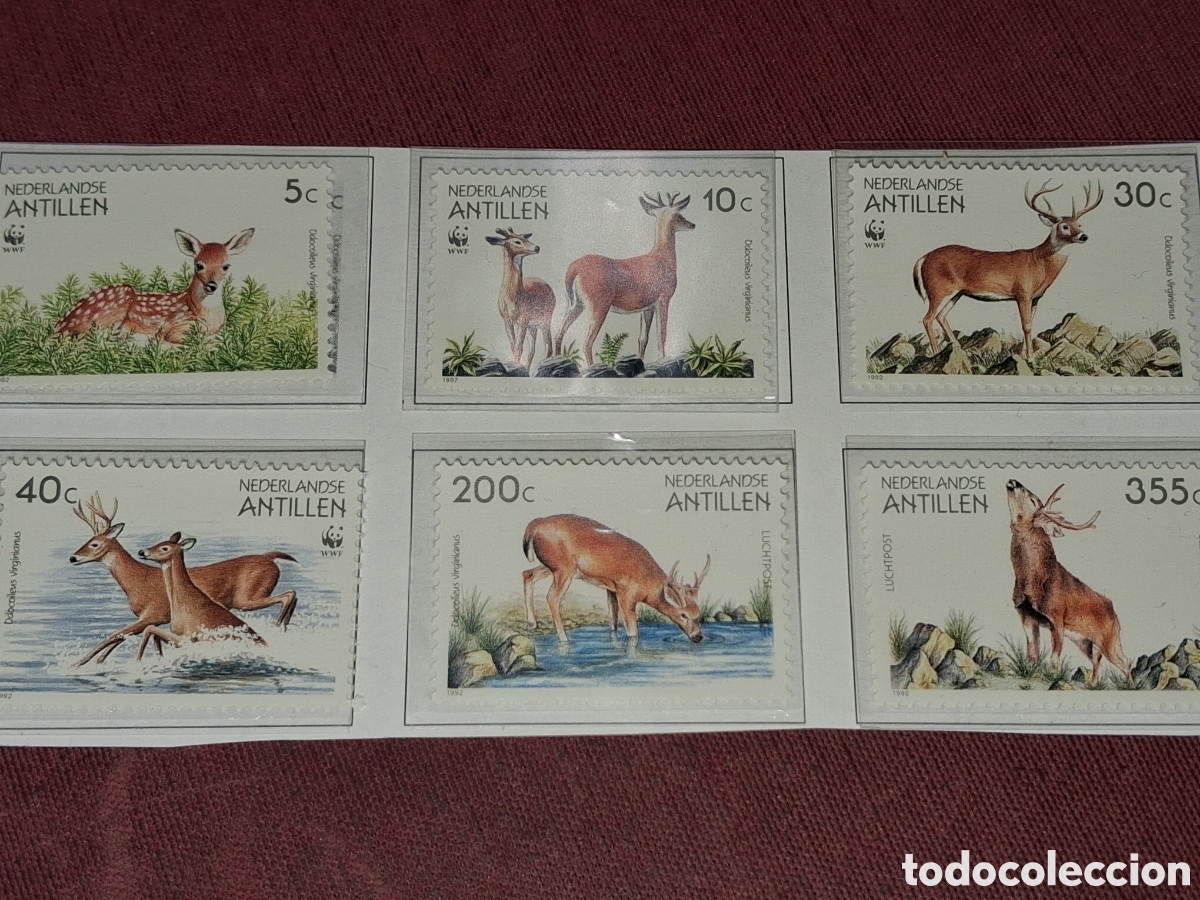 Sellos: Sello (2s) Antillas Holandesas nuevo 1992. Fundaci&oacute;n Protecci&oacute;n naturaleza. Fauna. Ciervo. Mam&iacute;feros