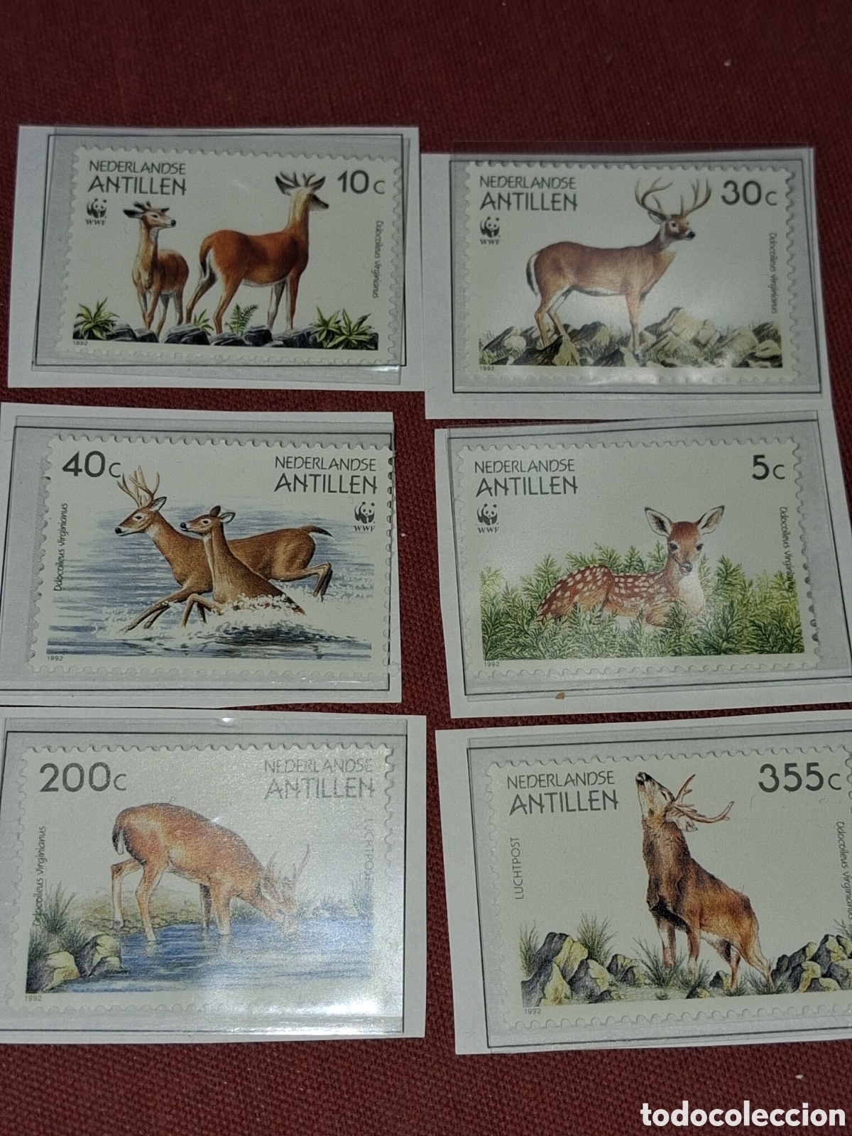 Sellos: Sello (2s) Antillas Holandesas nuevo 1992. Fundaci&oacute;n Protecci&oacute;n naturaleza. Fauna. Ciervo. Mam&iacute;feros