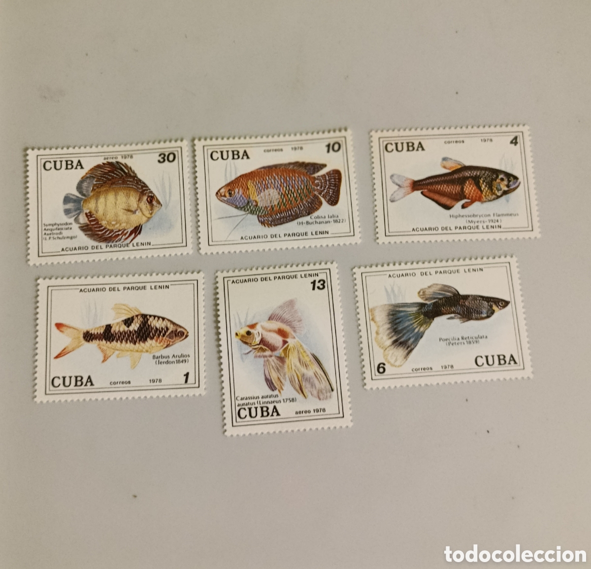 Sellos: CUBA sello peces 1978 - Foto 1