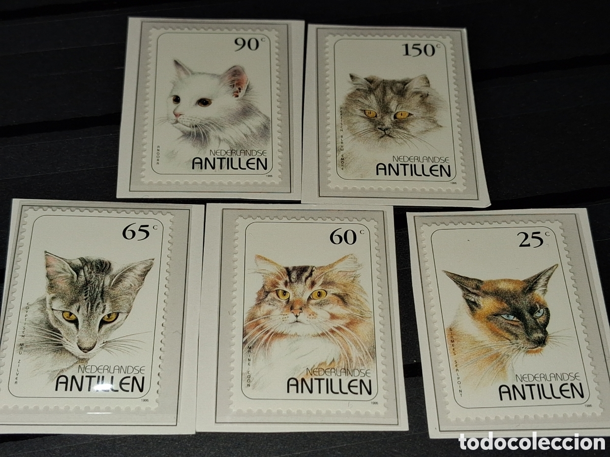 Sellos: Sello Antillas Holandesas nuevo 1995. Gatos. Felinos. Animales dom&eacute;sticos. Mam&iacute;feros. Persa. Fauna