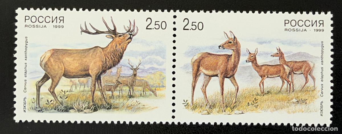 Sellos: Rusia 1999 Mi. 723-724 emisi&oacute;n conjunta ciervo rojo fauna animales
