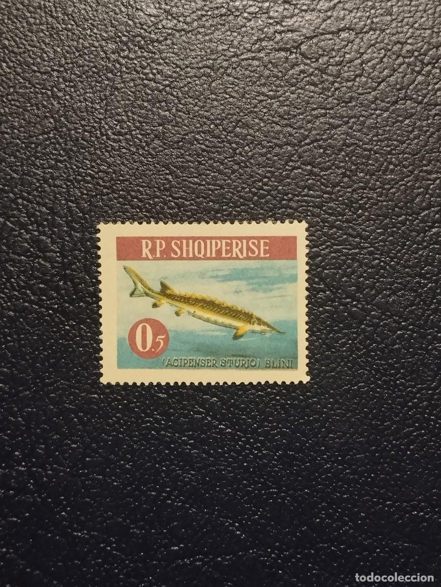 Sellos: 3.10/ Albania.1965. Fauna marina. 0,50l. Sello suelto en nuevo