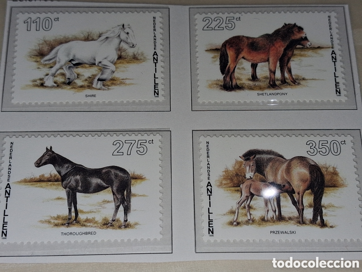 Sellos: Sello Antillas Holandesas nuevo 1996. Caballos. Equinos. Mam&iacute;feros. Fauna. Animales salvajes. Potro