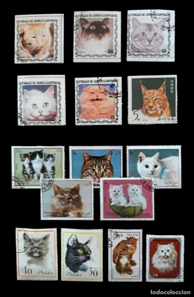 Sellos: GATOS - CATS. BONITO LOTE DE SELLOS USADOS DIFERENTES.